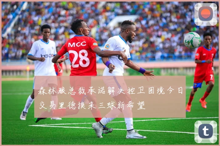 森林狼总裁承诺解决控卫困境今日交易里德换来三球新希望